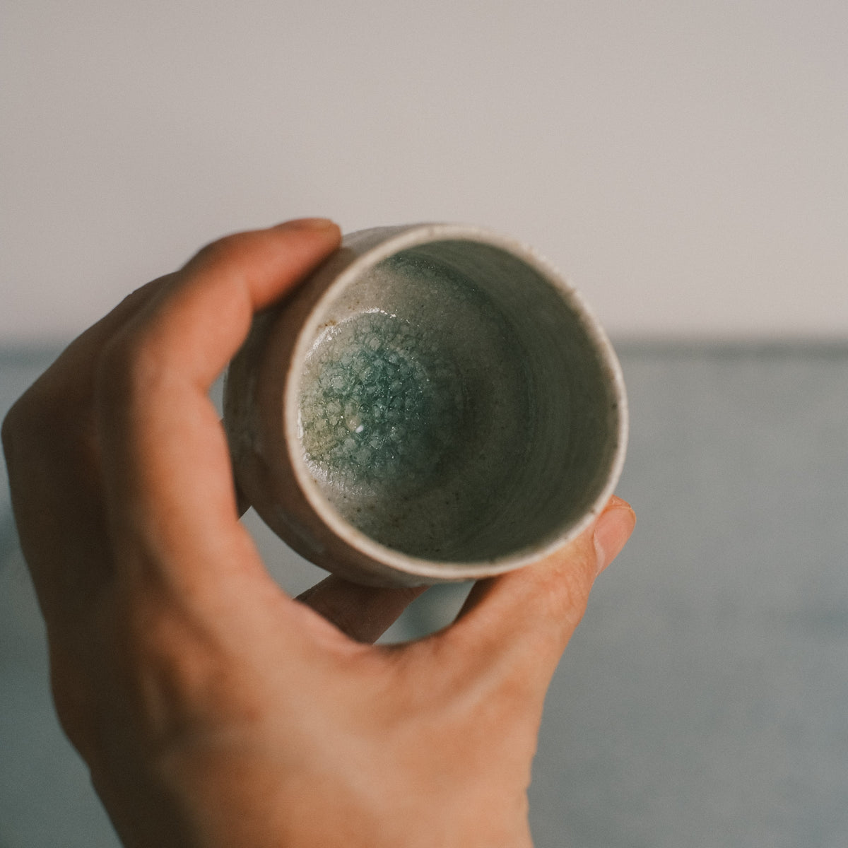 Guinomi, Ash Glaze