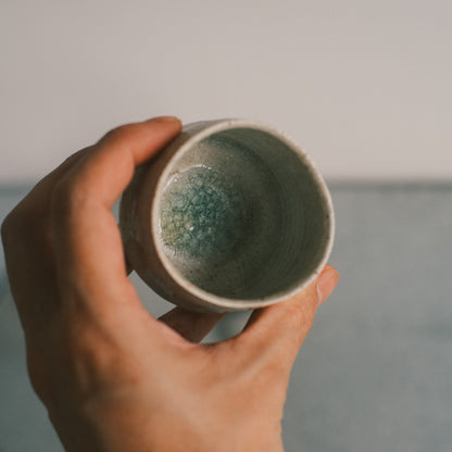 Guinomi, Ash Glaze
