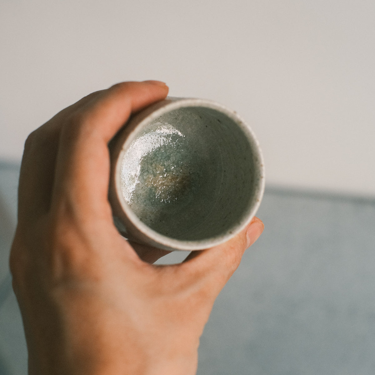 Guinomi, Ash Glaze