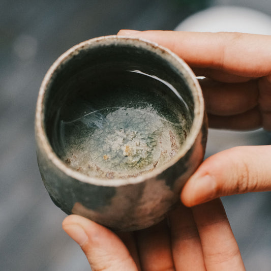 Guinomi, Ash Glaze