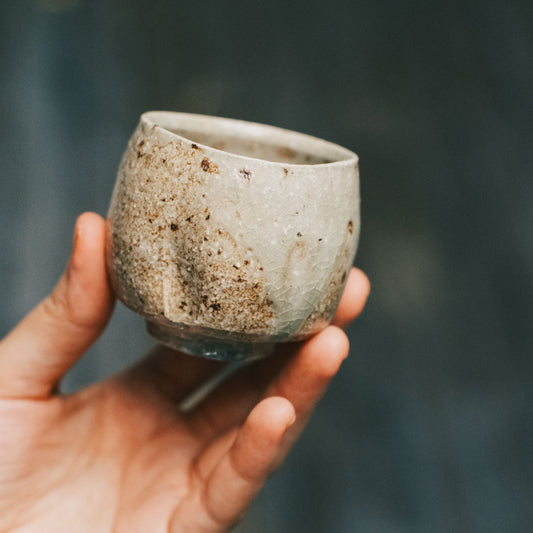Guinomi, Ash Glaze